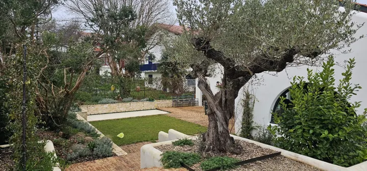 Jardín y espacios exteriores